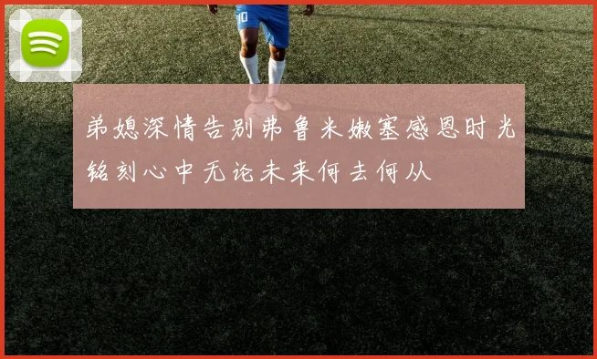 弟媳深情告别弗鲁米嫩塞感恩时光铭刻心中无论未来何去何从