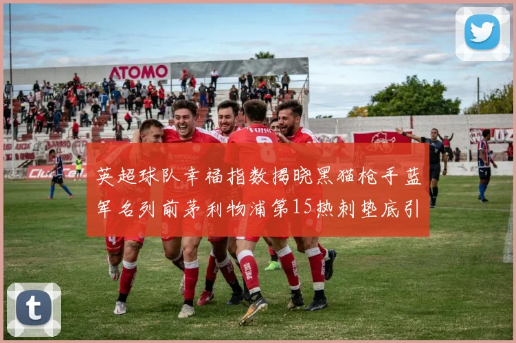 英超球队幸福指数揭晓黑猫枪手蓝军名列前茅利物浦第15热刺垫底引关注