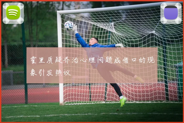 霍里质疑乔治心理问题成借口的现象引发热议